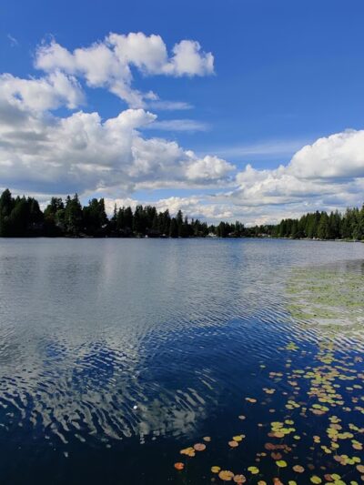 Martha Lake Park - Lynnwood, WA