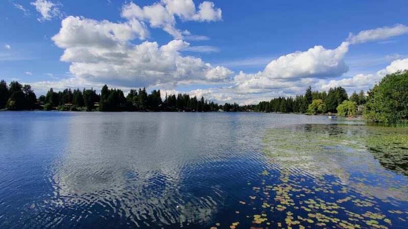 Martha Lake Park - Lynnwood, WA
