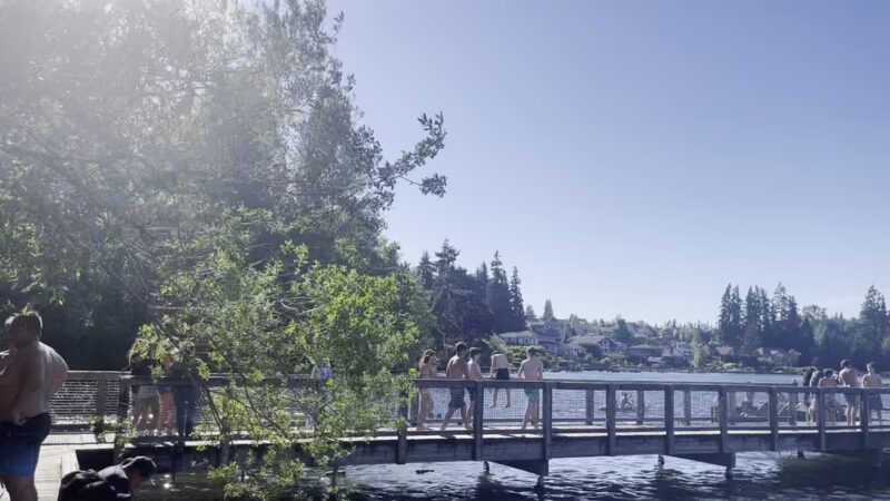 Martha Lake Park - Lynnwood, WA