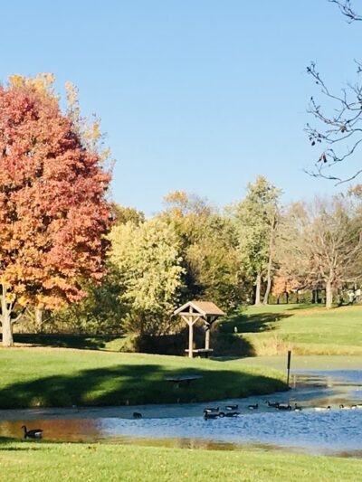 Patton Park - Macomb, IL