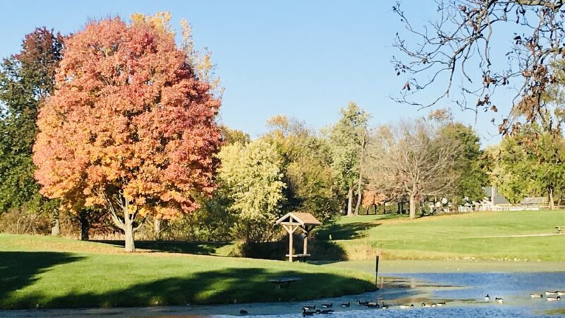 Patton Park - Macomb, IL