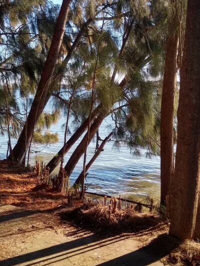 Bicentennial Park - Madeira Beach, FL