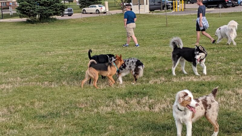 Red Oaks Dog Park - Madison Heights, MI
