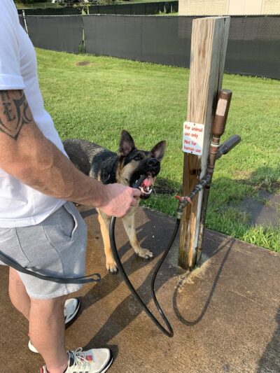 Red Oaks Dog Park - Madison Heights, MI