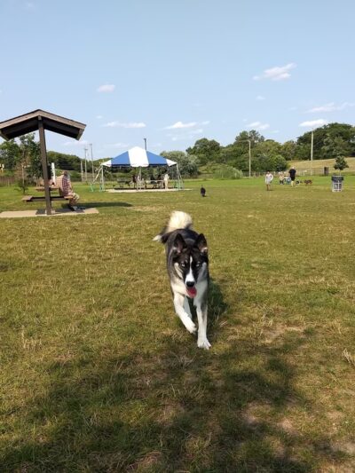 Red Oaks Dog Park - Madison Heights, MI