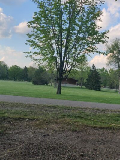 Bray Park & Campground - Madison Lake, MN