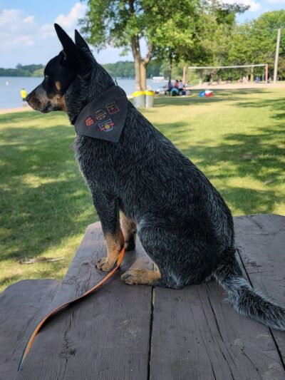 Duck Lake Park - Madison Lake, MN