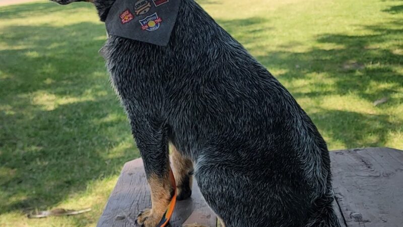 Duck Lake Park - Madison Lake, MN