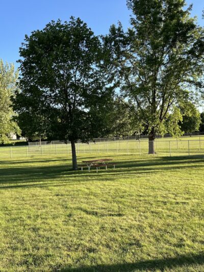 Centennial Park Dog Park - Madison, MN