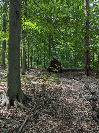 Madison Trails - Madison, NJ