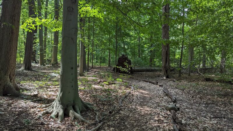Madison Trails - Madison, NJ