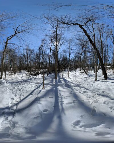 Summerhill Park - Madison, NJ