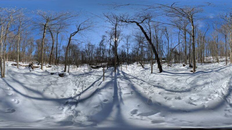 Summerhill Park - Madison, NJ