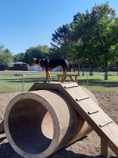 Dog park - Madison, SD