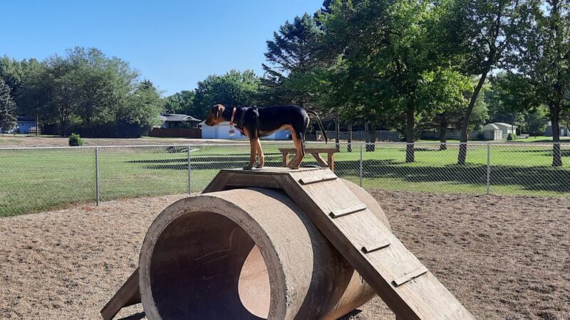 Dog park - Madison, SD