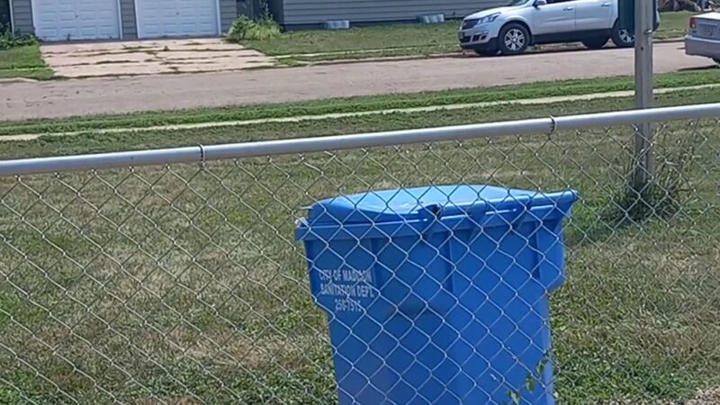 Dog park - Madison, SD