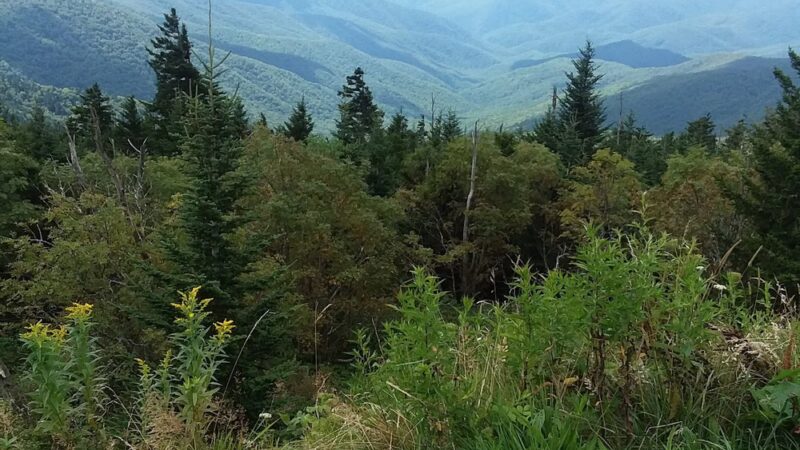 Rucker Mountain - Madison, WV