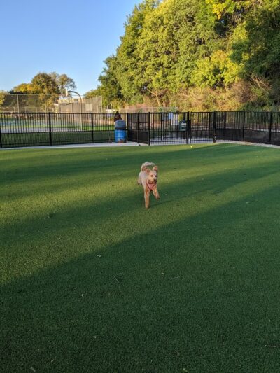 Brittingham Park Dog Park - Madison, WI