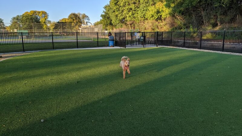 Brittingham Park Dog Park - Madison, WI