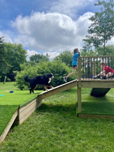 Good Dog Unleashed Private Park - Madison, WI