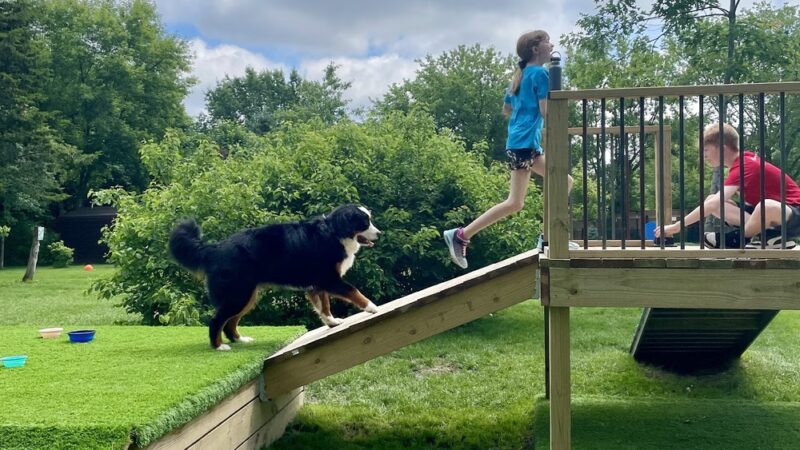 Good Dog Unleashed Private Park - Madison, WI