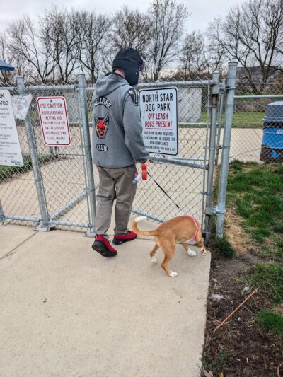 North Star Dog Park - Madison, WI