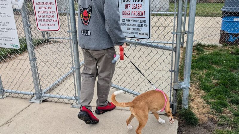 North Star Dog Park - Madison, WI