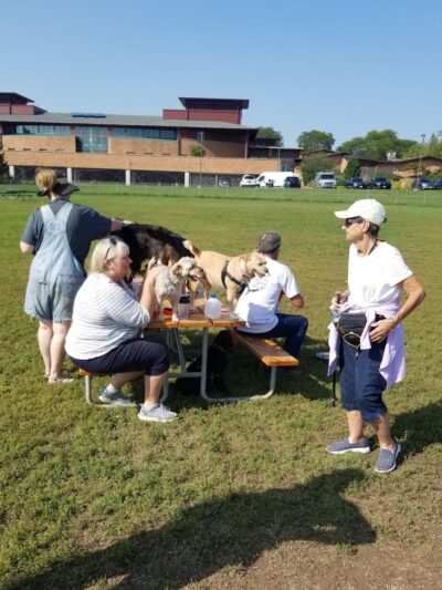 Odana School Park Dog Park - Madison, WI