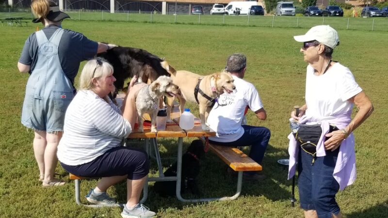 Odana School Park Dog Park - Madison, WI