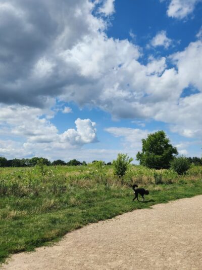 Quann Park - Madison, WI
