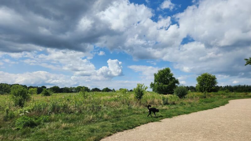 Quann Park - Madison, WI