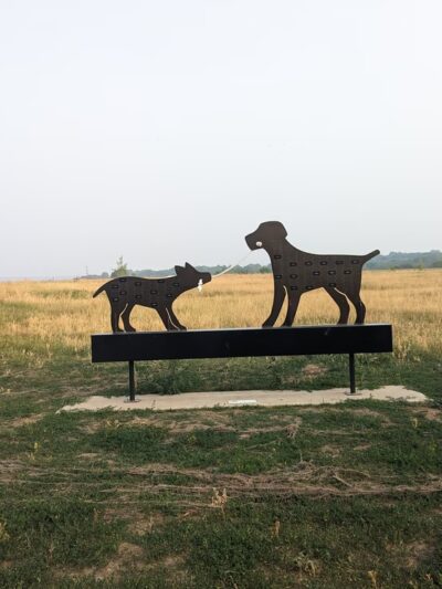 Quann Park - Madison, WI