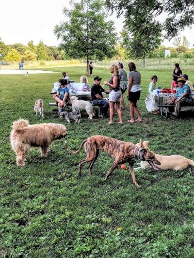 Walnut Grove Park Dog Park - Madison, WI