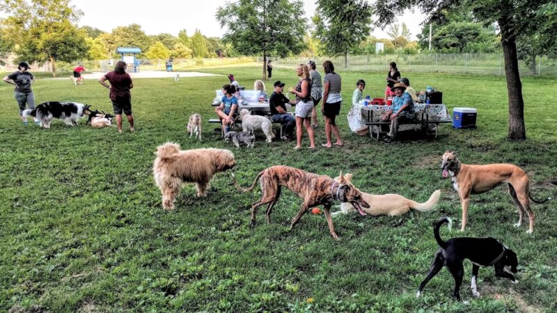 Walnut Grove Park Dog Park - Madison, WI
