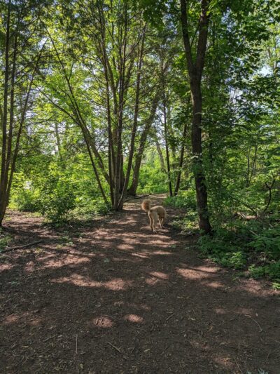 Warner Park Dog Park - Madison, WI