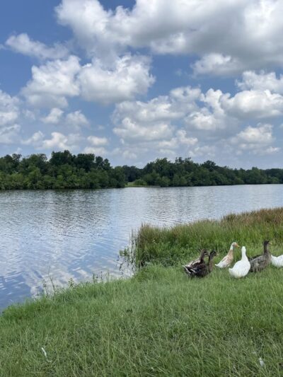 Lake Madison Park - Madisonville, TX