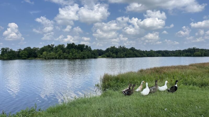 Lake Madison Park - Madisonville, TX