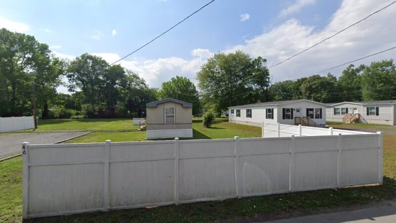 Pitbull X bully kennels - Magnolia, DE