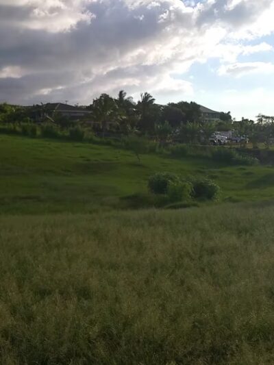 Upcountry Dog Park - Makawao, HI