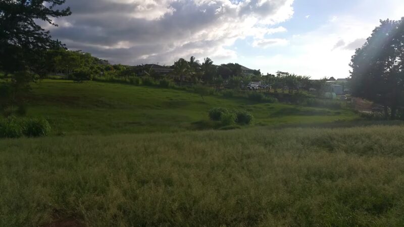 Upcountry Dog Park - Makawao, HI