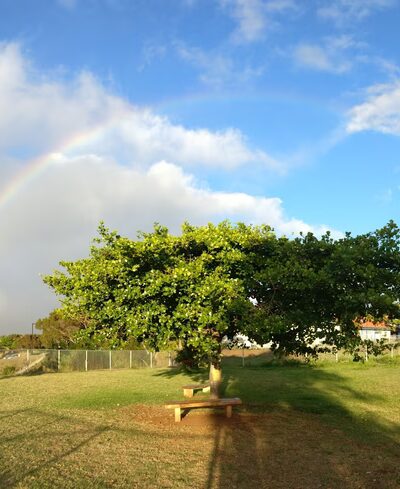 Upcountry Dog Park - Makawao, HI
