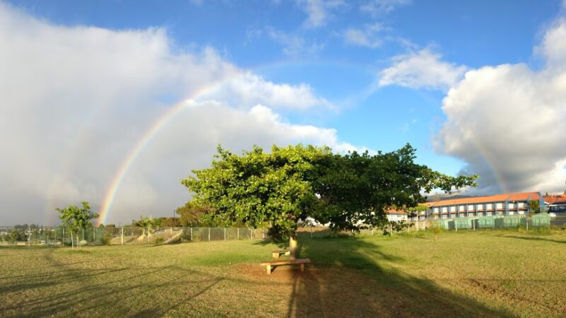 Upcountry Dog Park - Makawao, HI