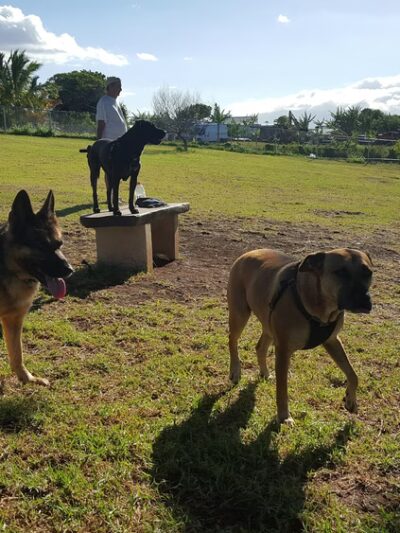 Upcountry Dog Park - Makawao, HI
