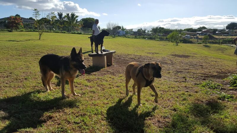 Upcountry Dog Park - Makawao, HI