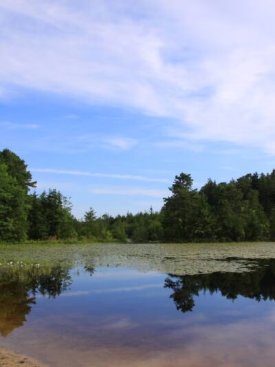 Malaga Lake Beach - Malaga, NJ