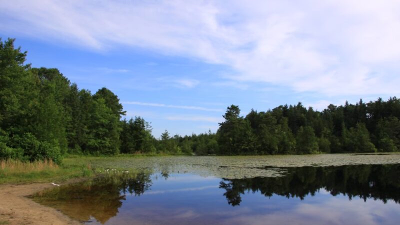 Malaga Lake Beach - Malaga, NJ