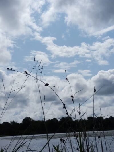 Malaga Lake Beach - Malaga, NJ