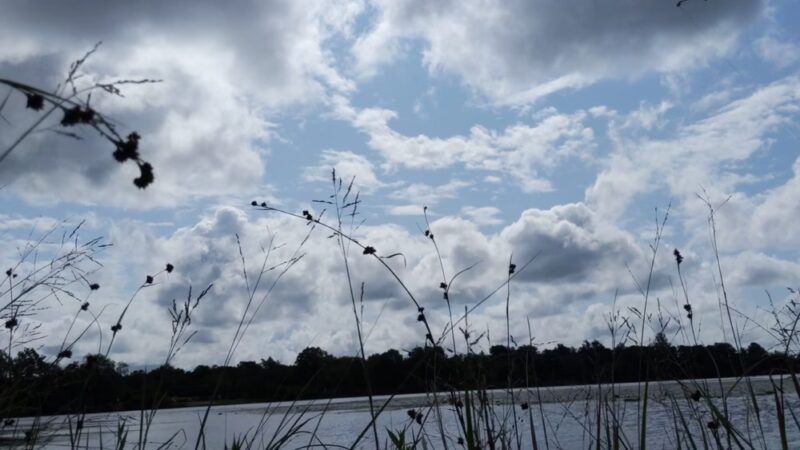 Malaga Lake Beach - Malaga, NJ