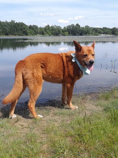 Malaga Lake Beach - Malaga, NJ