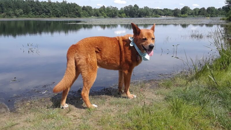 Malaga Lake Beach - Malaga, NJ